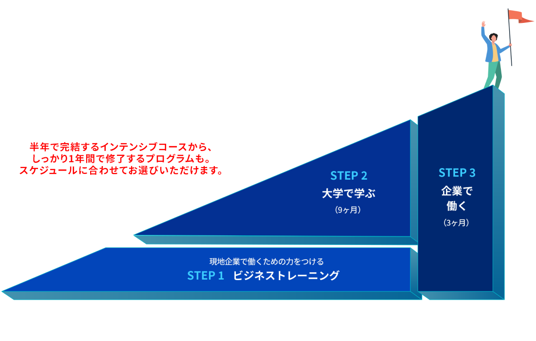 IBPプログラム