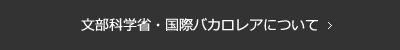 文部科学省・国際バカロレアについて